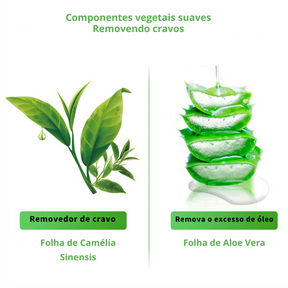 Sérum Removedor de Cravos e Acnes com Aloe Vera