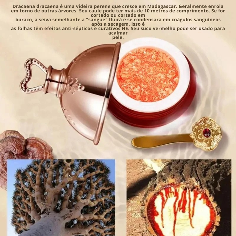 Creme Facial Dragon’s Blood Retinol Placenta Essence – Iluminador Lifting e Firmador